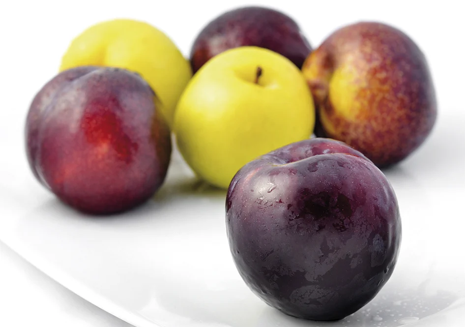 Empresa exportadora y productora de frutas de hueso (Ciruelas, Nectarinas, melocotón, paraguayo, albaricoque...) Venta al por mayor de fruta de calidad
